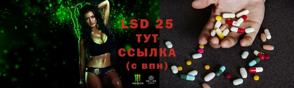 индика Слюдянка