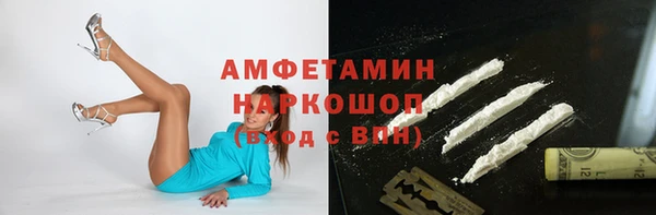 индика Слюдянка