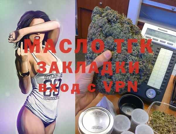 индика Дмитровск