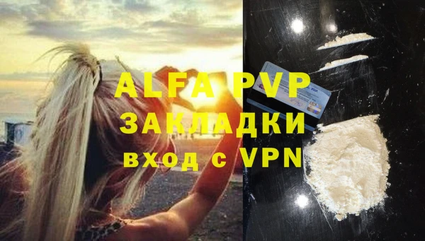индика Слюдянка